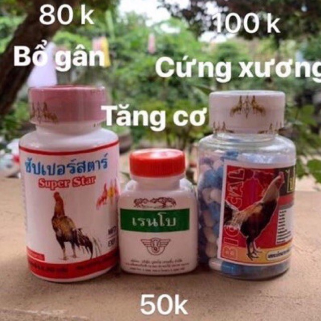 thuốc phục hồi gân cơ xương, thuốc gà tơ cho gà chọi gà đá