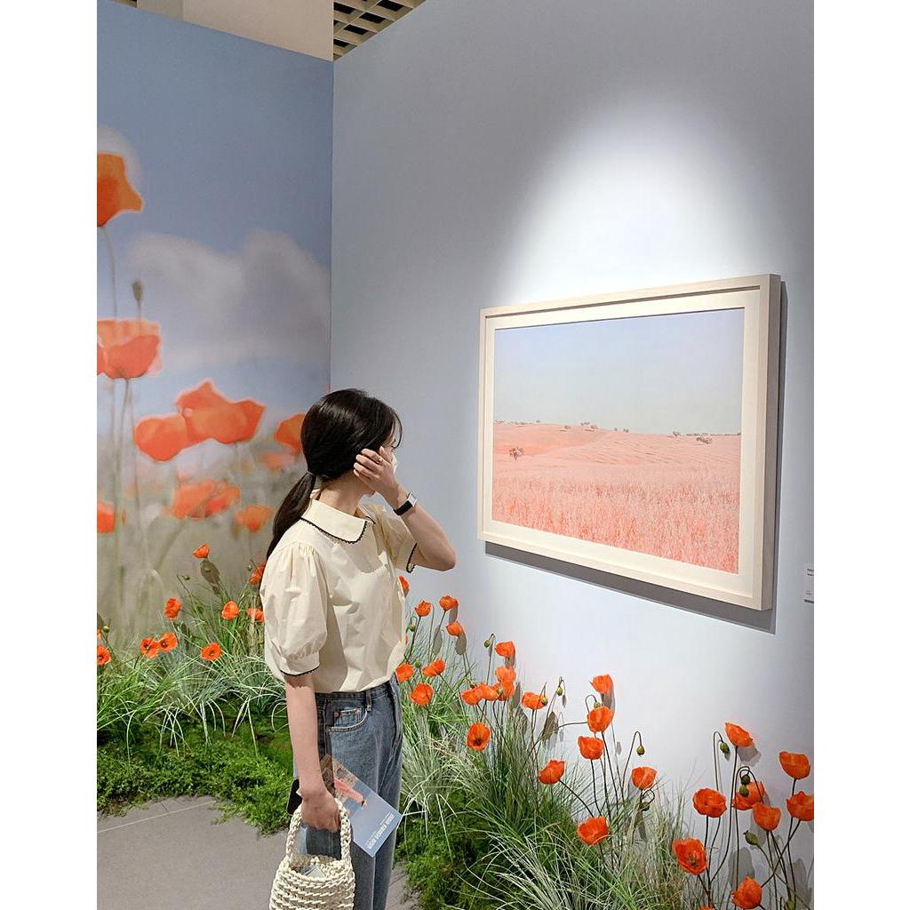 Áo Sơ Mi Cổ Mép Lật Dáng Rộng Ngắn Tay Thời Trang Sành Điệu 60665