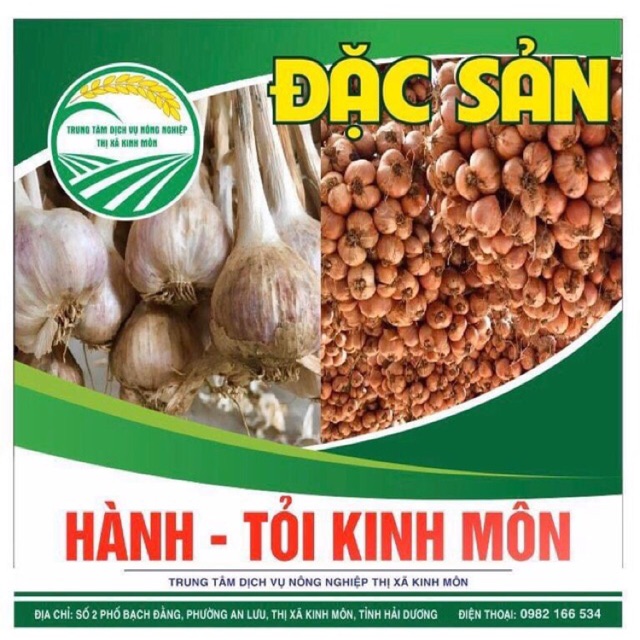 Hành củ đặc sản Kinh Môn - Hải Dương