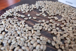 Cà phê sạch Nam Sơn Blend