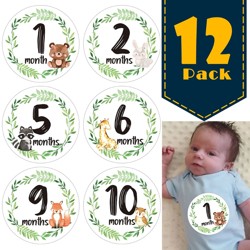 Bộ 12 Miếng Dán Đánh Dấu Cột Mốc Tháng In Họa Tiết Hoa Trang Trí Kỷ Niệm