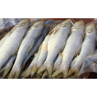 [1 con] Khô cá sửu mặn / cá chét mặn