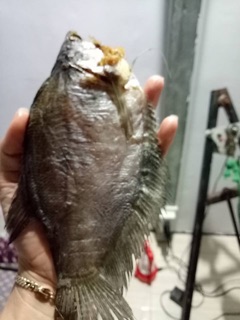 Khô cá sặc bỗi ( 12 con ) một ký