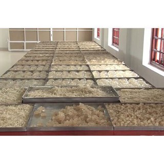 100gram Mủ trôm dài