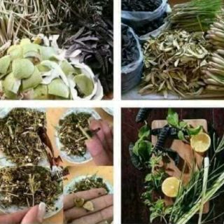 Dầu gội Thanh Mộc Hương