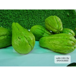 Quả SU SU -1kg ( 3 trái)