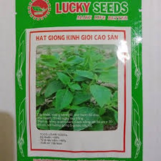 Hạt giống rau kinh giới( 2G)