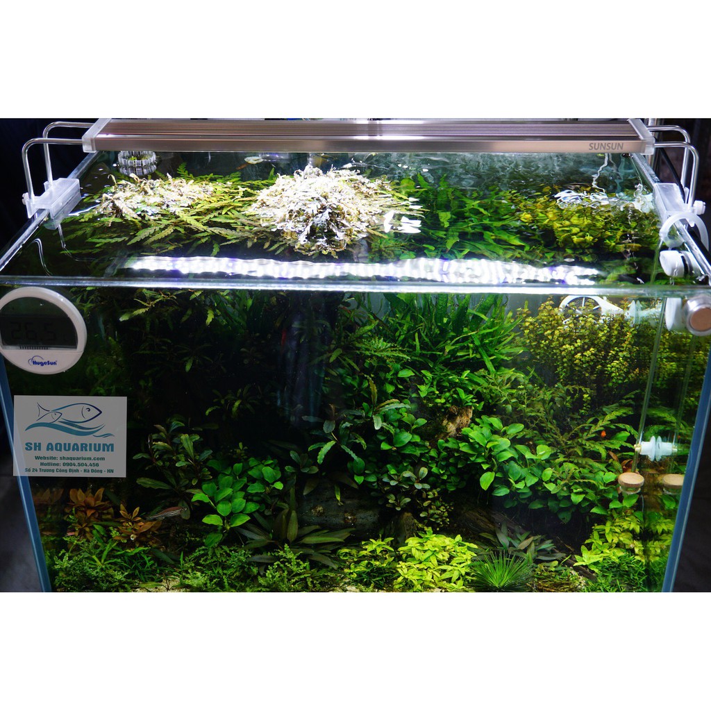 ĐÈN LED SUNSUN ADE-300C