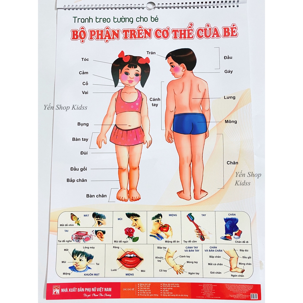 Bộ Tranh Treo Tường Cho Bé (SP001278 )