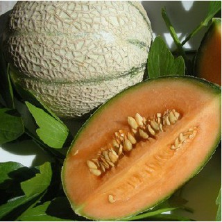 Hạt giống Dưa lưới Melo (dưa lưới sọc ) – 10Hạt