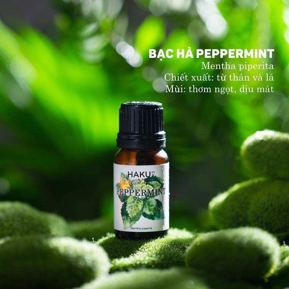 Tinh dầu Bạc Hà Peppermint