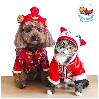 Nón Tết mèo tài lộc may mắn cho chó mèo