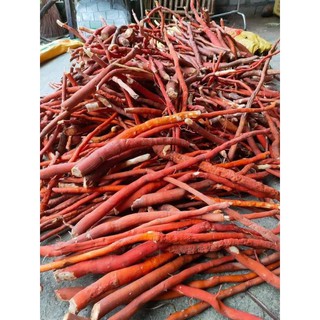 Sâm cau đỏ Tây Bắc xô 1kg