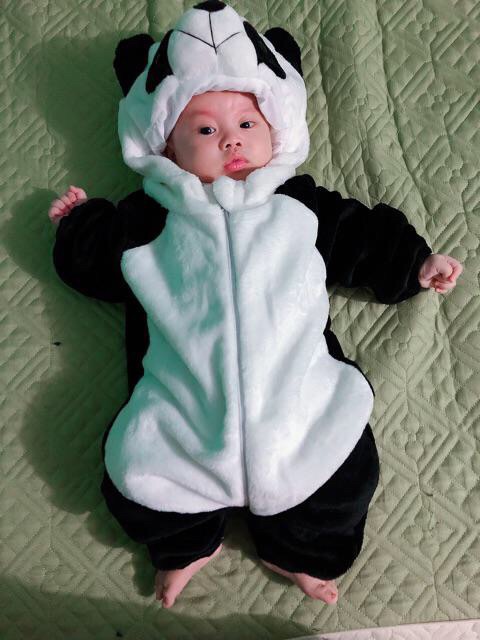 Bộ body hình gấu trúc Chất liệu lông nhung cho bé 0-24 tháng tuổi