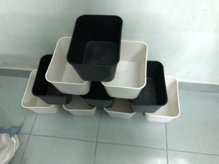 Khay nhựa nuôi cá