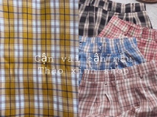 Quần culottes khoá trước kẻ hottrend