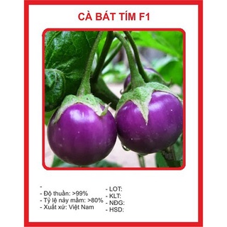 Hạt giống Cà tím tròn ( cà bát tím ) gói 2gr/gói