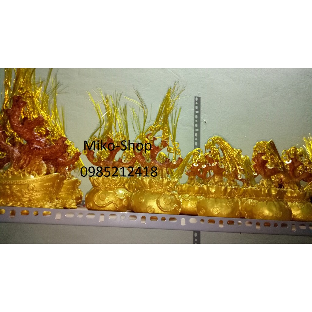 Cây kim Tiền 10 cành