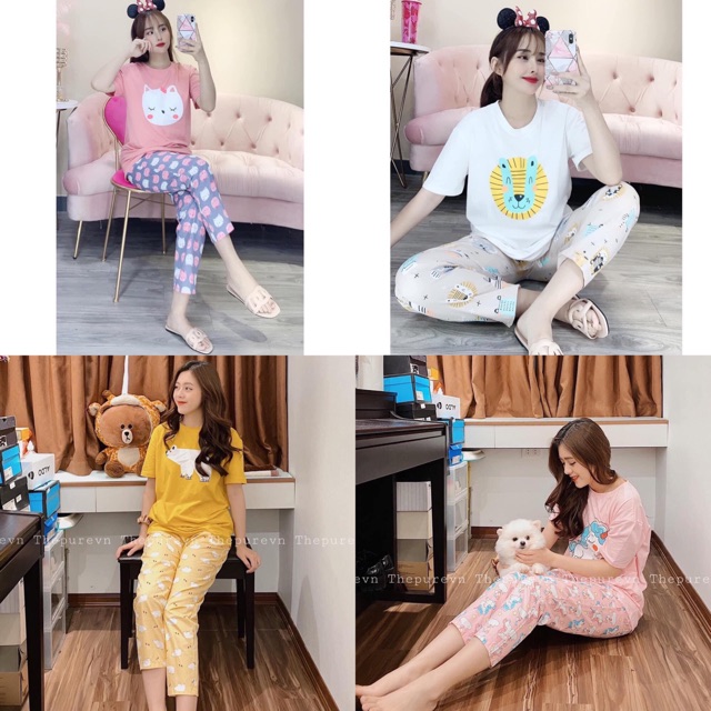 [Mã WARN10 giảm 10k đơn 99k] BỘ MẶC NHÀ NỮ HÌNH THÚ ĐÁNG YÊU | BigBuy360 - bigbuy360.vn