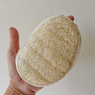 miếng rửa chén bát xơ mướp - nghiaphuonghg