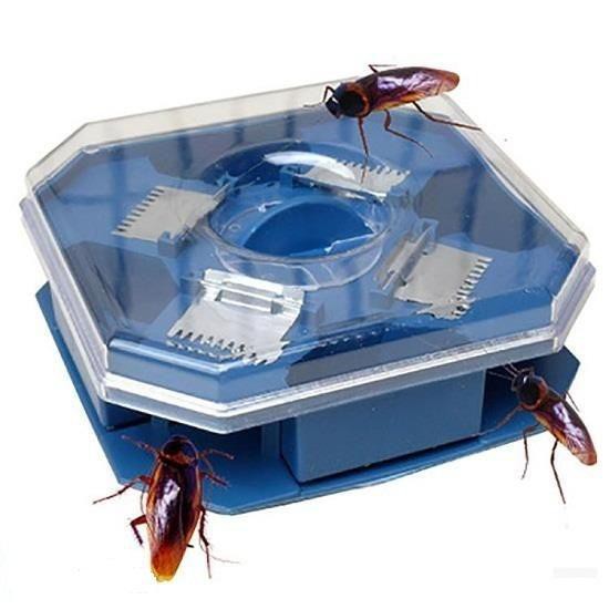 bộ 2 Dụng Cụ Bẫy Gián Bắt Gián Siêu Tiện Lợi Không Dùng Hóa Chất