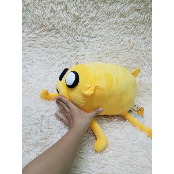 Gấu bông chú chó Jack và Fin trong hoạt hình Adventure