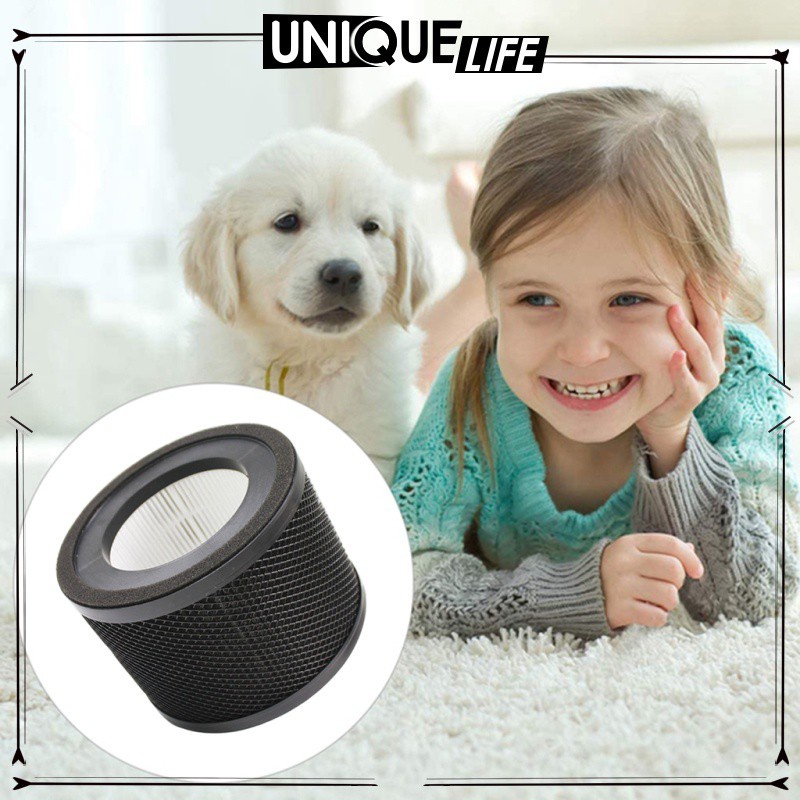 Bộ Lọc Khí Bằng Than Hoạt Tính Cao Cấp Thay Thế Cho Máy Lọc Không Khí Hepa | BigBuy360 - bigbuy360.vn