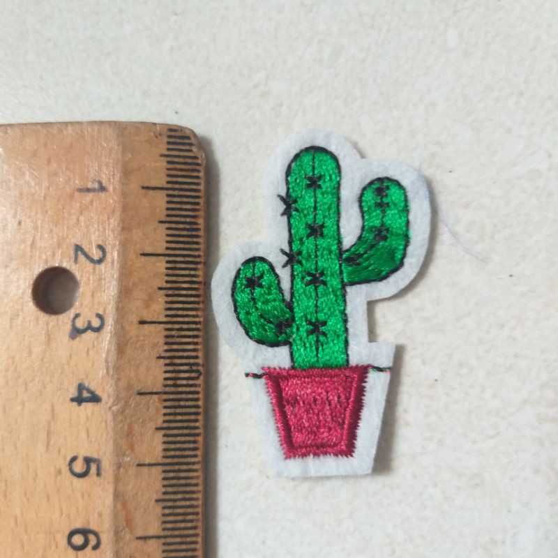 Hình ủi xương rồng mini trang trí