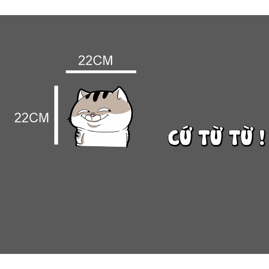 Tem xe ô tô dán đuôi ngộ nghĩnh