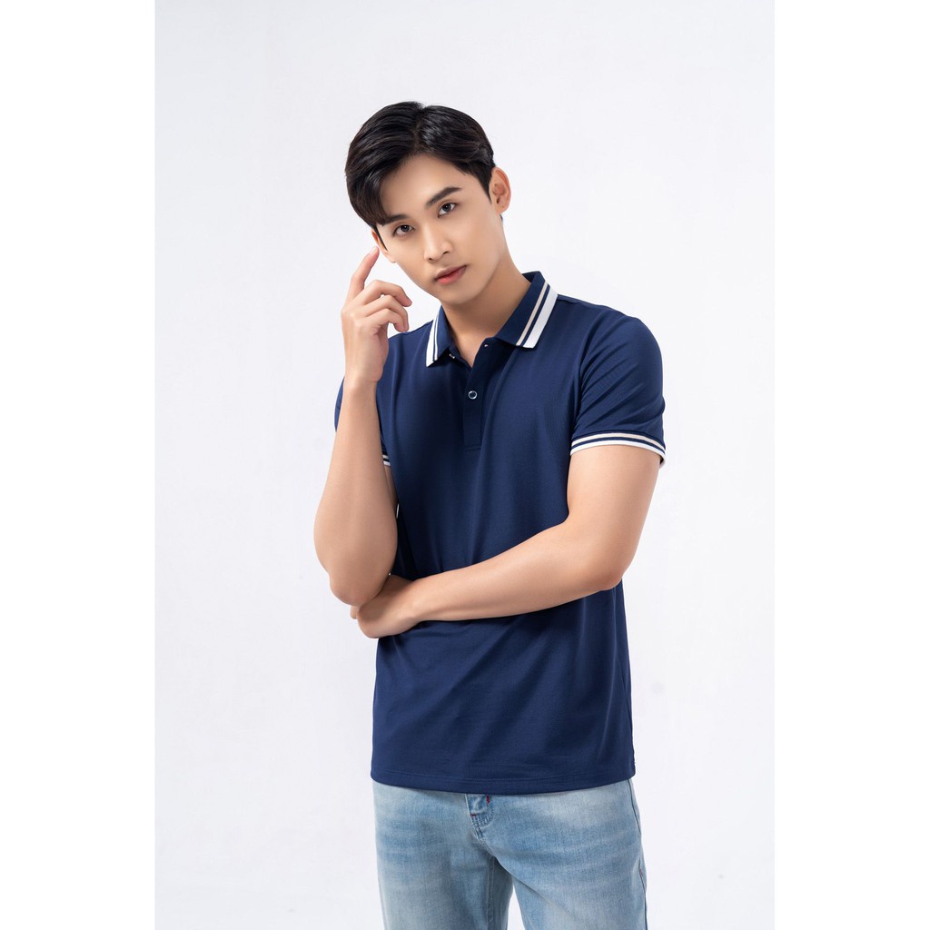 Áo Polo Yody Mắt chim phối bo 02 chất liệu Cotton mềm mịn thoải mái APM3641