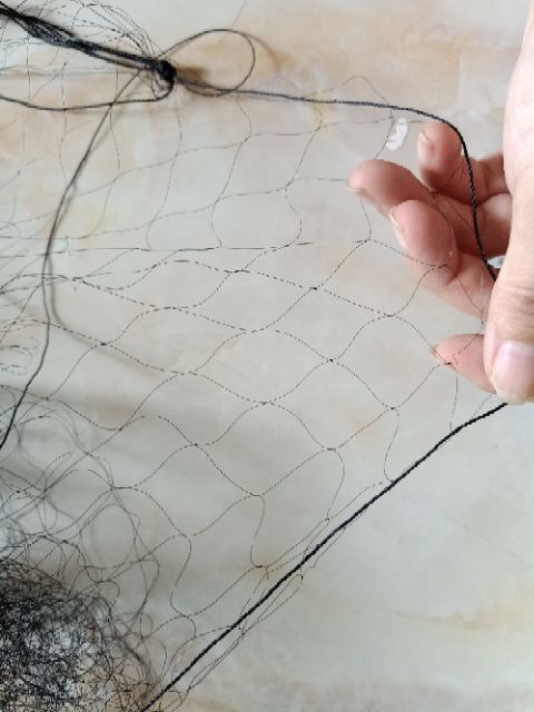 Lưới chim Hàng cao cấp chào mào, sẻ, ri