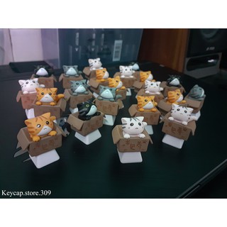 Phím Máy Tính Keycap Mèo Lẻ Trong Hộp Siêu Cute