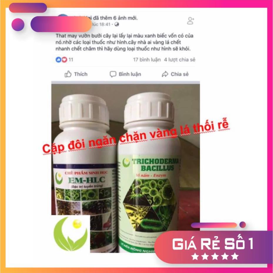CHẾ PHẨM EM HLC ĐẶC TRỊ TUYẾN TRÙNG - THUỐC ĐẶC TRỊ VÀNG LÁ THỐI RỄ, PHÒNG TRỪ TUYẾN TRÙNG RỄ HẠI CÂY TRỒNG - CHAI 500ML