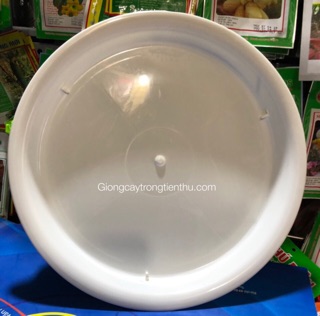 ĐĨA LÓT CHẬU CÂY CẢNH PHI 35(5cái)