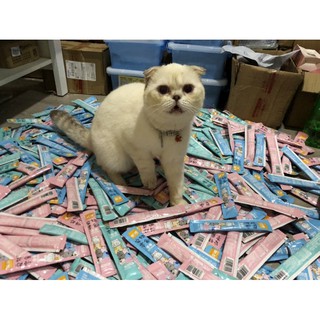 [ RẺ NHẤT ] SÚP THƯỞNG PATE SHIZUKA 15G (ở đâu rẻ hơn bán bằng giá ở đó)