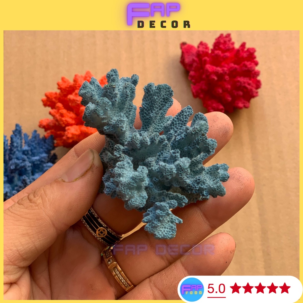 BÔNG RẠN SAN HÔ MINI PHONG THỦY PHỐI MÀU DECOR NHÀ CỬA, SAN HÔ NHIỀU MÀU TRANG TRÍ THỦY SINH