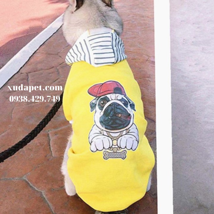 Áo Hoodie Vàng Hình Chó Pug Nón Sọc giúp cho thú cưng thoải mái, mát mẻ - Xudapet - SP000597