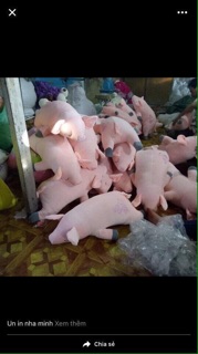 thú nhồi bông