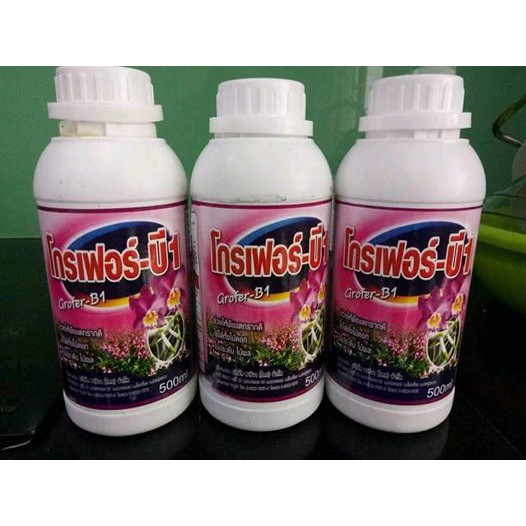 [FREESHIP TỪ 50K] ·#B1 Thai chai 500ml