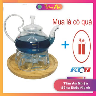 Bộ Ấm Trà Thủy Tinh Dung Tích 600 Ml - Có Đế Nến Chịu Nhiệt - Có Lò So Lọc - Thủy Tinh Chịu Nhiệt 400 độ