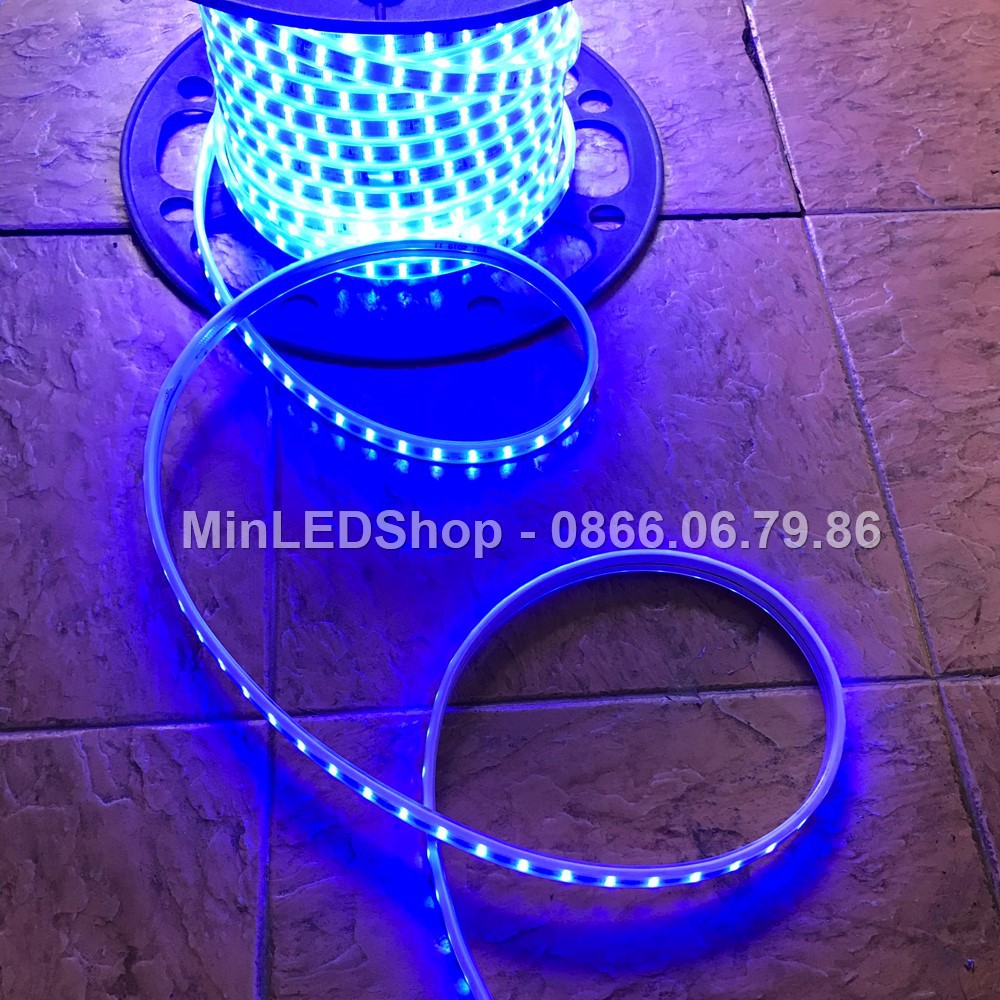 Combo đèn led dây đôi 2 hàng trang trí nhà, cây (màu trắng, vàng, xanh dương) + dây nguồn