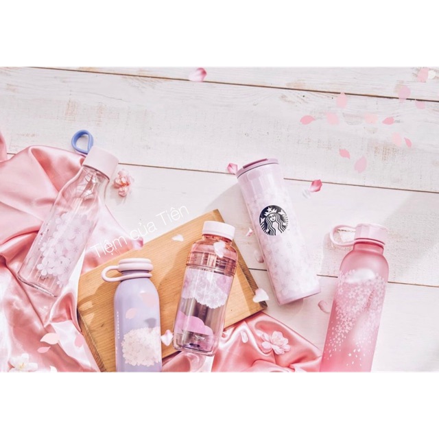 Ly, bình STARBUCKS SAKURA