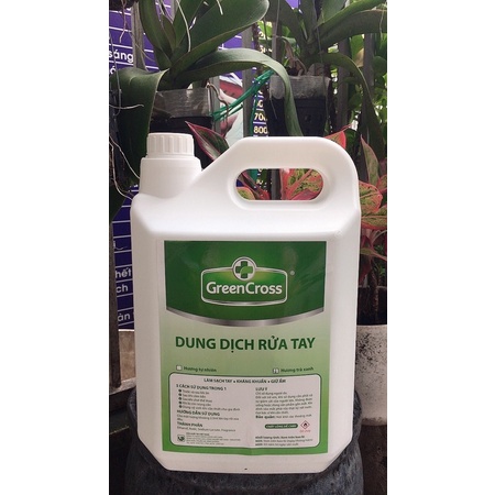 Gel /DD Rửa Tay GREEN CROSS Diệt Khuẩn Hương Trà Xanh xả kho 5 lít