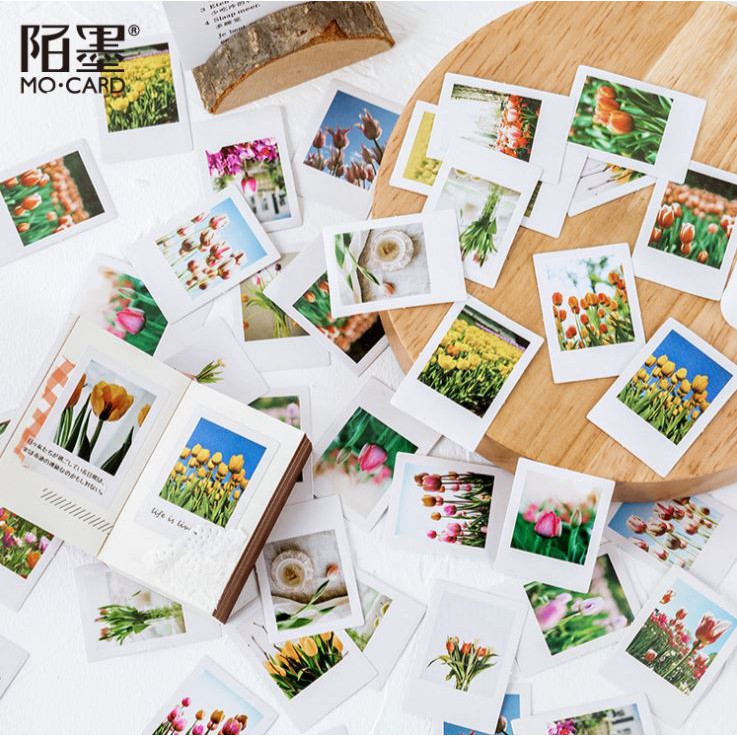 Bộ 46 Sticker Hoa Tulip Hà Lan E57