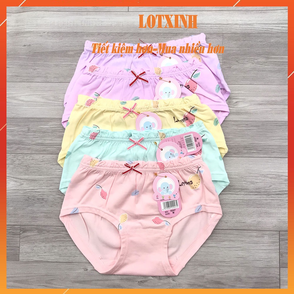 Quần lót váy trẻ em tam giác cotton bé gái chíp cao cấp kháng khuẩn LOTXINH (Mẫu, Màu ngẫu nhiên)