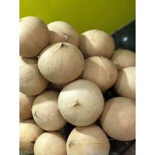 Dừa xiêm Bến Tre cỡ mini