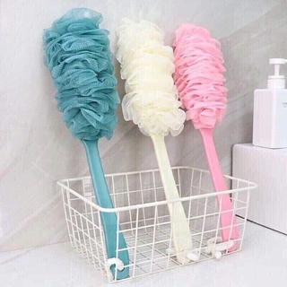 Cây chà lưng hàn quốc