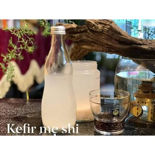 Nấm kefir DỪA 20 gram nuôi dừa suốt không ngủm