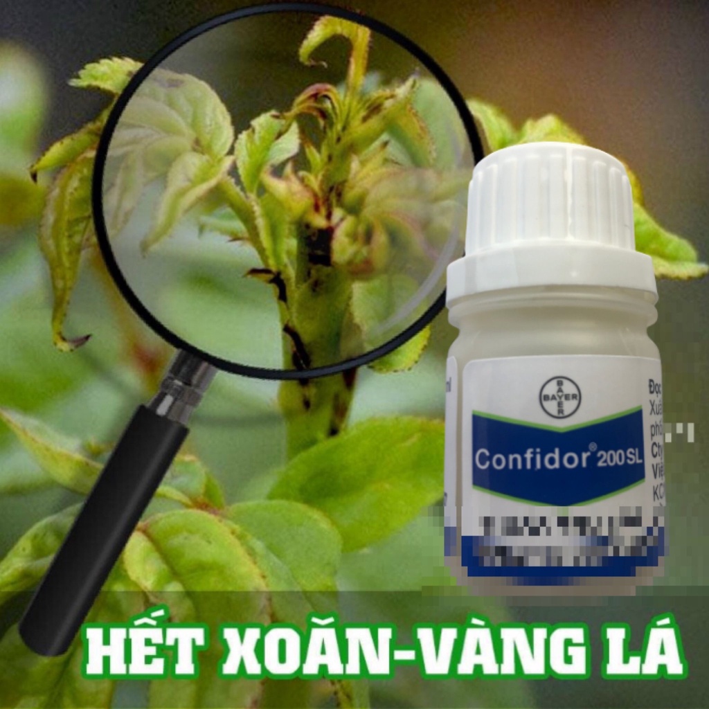 Confido bọ trĩ hoa hồng lọ 20ml longf1