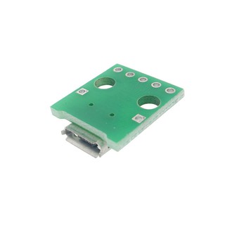 Đầu Chuyển Đổi Micro Usb Sang Dip 2.54mm 5pin B Type B Pcb